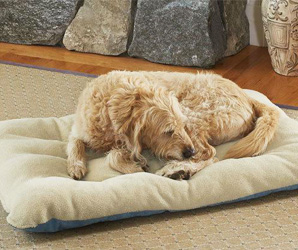 寵物墊應(yīng)用場景