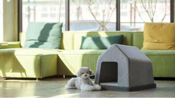 淘寶發布《雙12萌寵消費新趨勢》：寵物用品銷售異軍突起