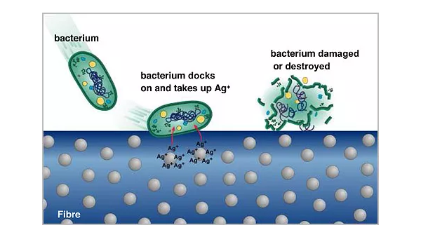 抗菌紡織品加工、發(fā)展及應用