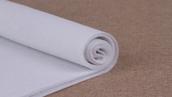 全球化纖產(chǎn)業(yè)的發(fā)展方向是什么？各國負(fù)責(zé)人蚌埠論道